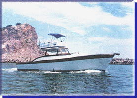 GO GET'EM with Bibi Fleet! Sportfishing in Mazatlan, Mexico since 1946!!!