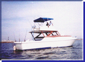 GO GET'EM with Bibi Fleet! Sportfishing in Mazatlan, Mexico since 1946!!!