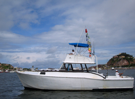 GO GET'EM with Bibi Fleet! Sportfishing in Mazatlan, Mexico since 1946!!!